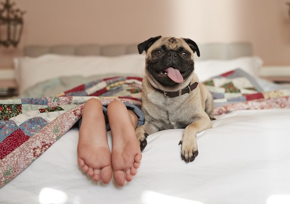 Encontre a roupa de cama que mais combina com a sua casa ;) (Foto: Getty Images) — Foto: Glamour
