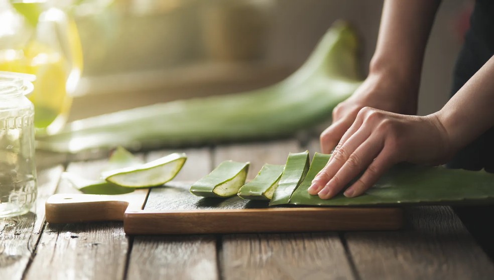 Aloe vera: o que é e por que você deveria usá-lo o ano todo (e não apenas no verão) — Foto: Getty