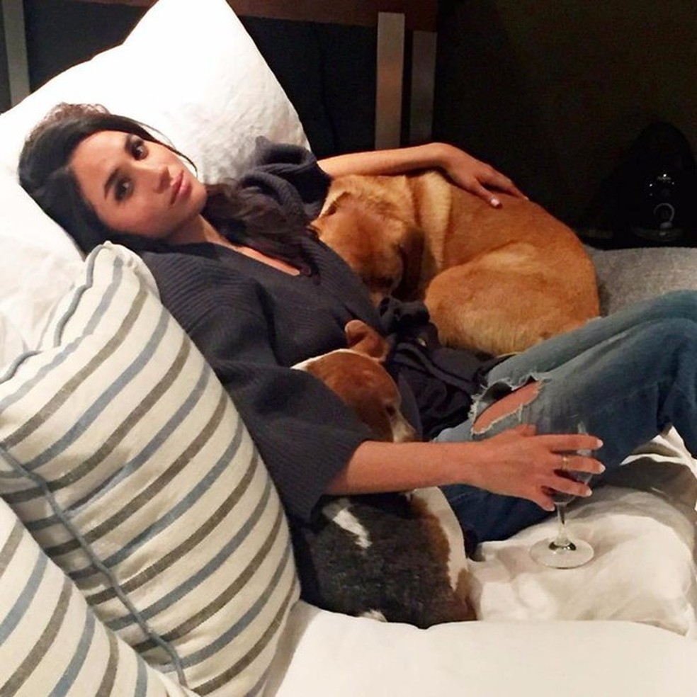 Meghan Markle e seus cãezinhos (Foto: Instagram/Reprodução) — Foto: Glamour