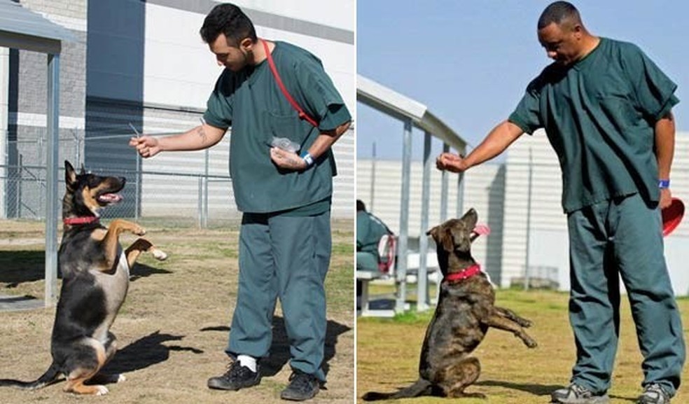 Detentos treinam seus cães (Foto: Divulgação) — Foto: Glamour