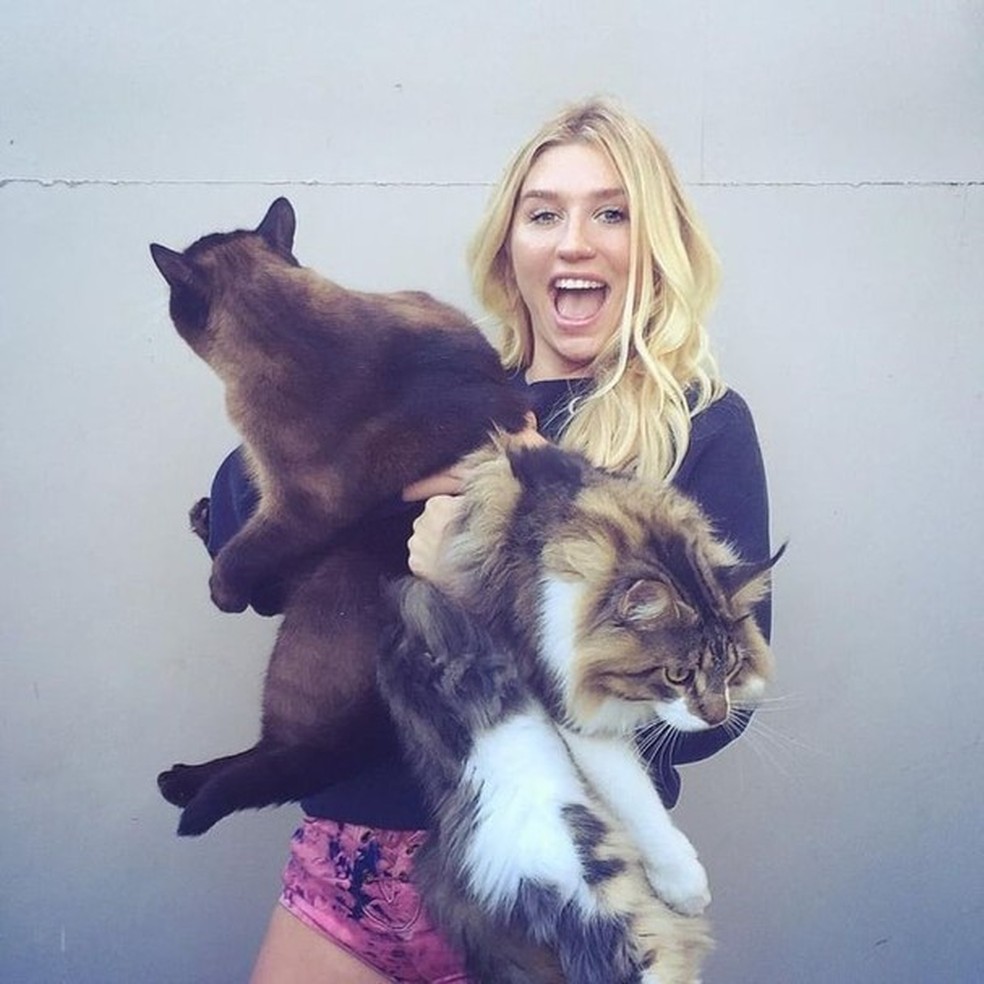Ke$ha (Foto: Instagram/Reprodução) — Foto: Glamour