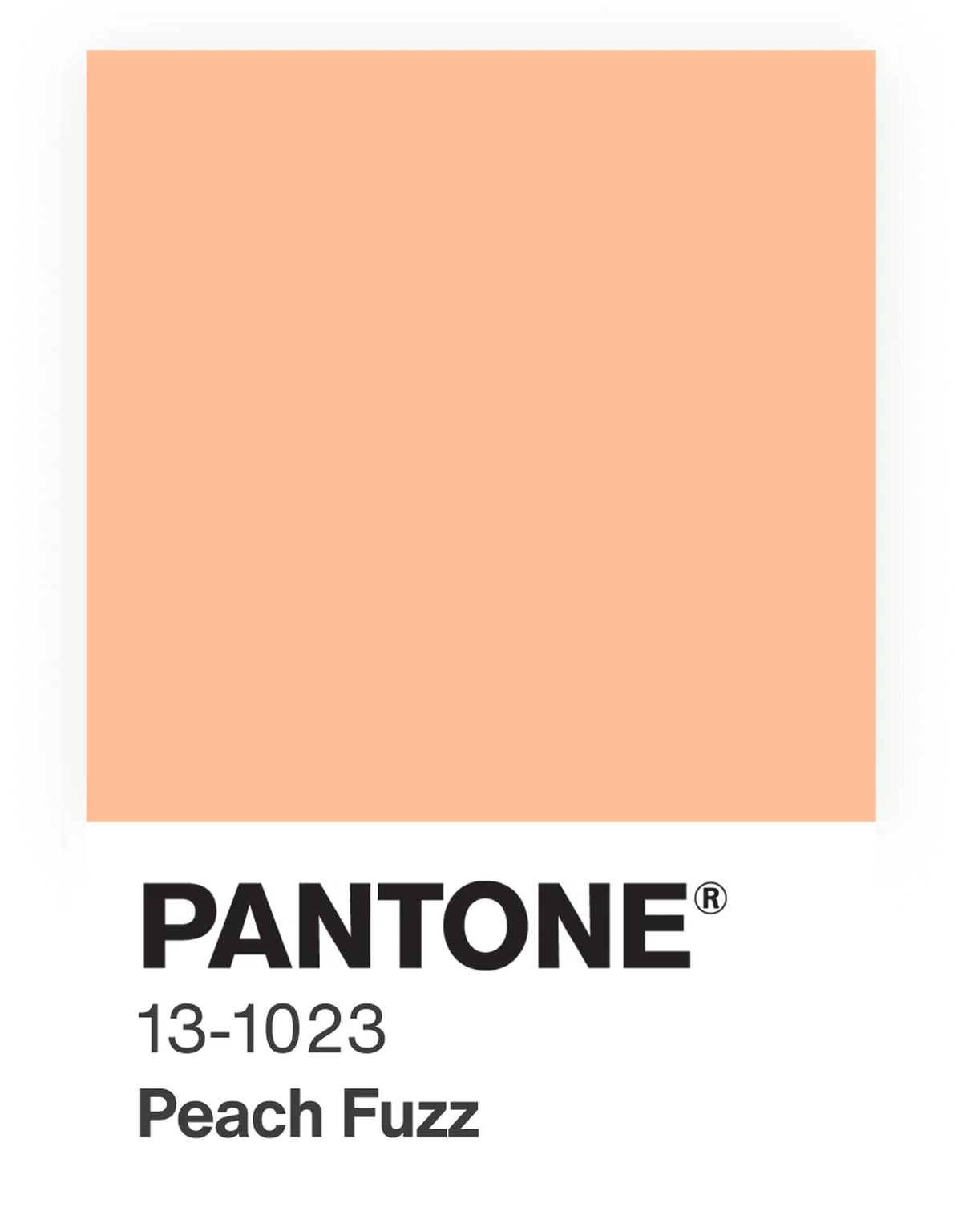 Como usar a Cor Pantone 2024 para melhorar a energia da sua casa