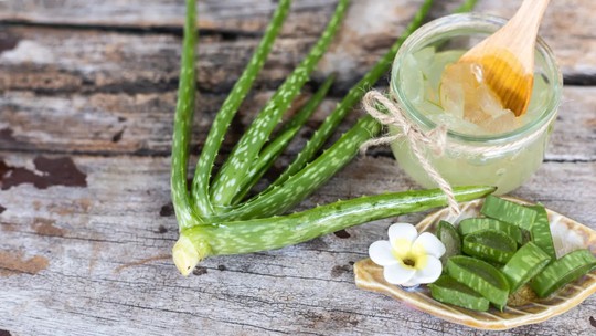 Aloe vera: o que é e por que você deveria usá-lo o ano todo (e não apenas no verão)