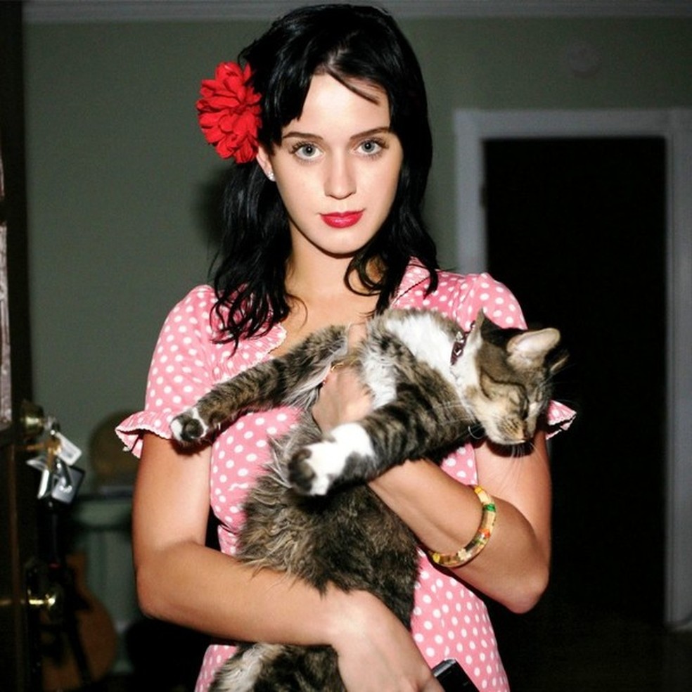 Katy Perry e Kitty Purry (Foto: Instagram/Reprodução) — Foto: Glamour
