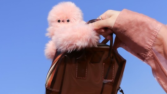 Fofo e tecnológico: conheça o robô que pode se tornar o novo acessório de bolsa mais desejado