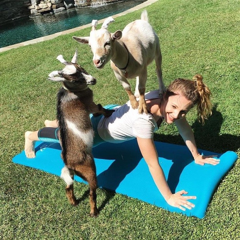 As cabras interagem com os alunos durante a aula de ioga (Foto: Divulgação) — Foto: Glamour