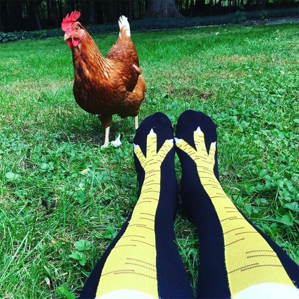 Курица между ног. Ночки с куриными ногами.