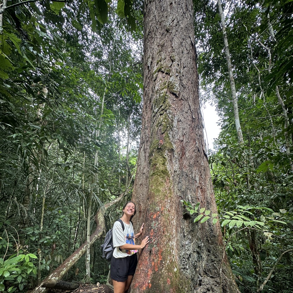 Trilha para a Caverna do Maroaga, em Presidente Figueiredo — Foto: Malu Pinheiro