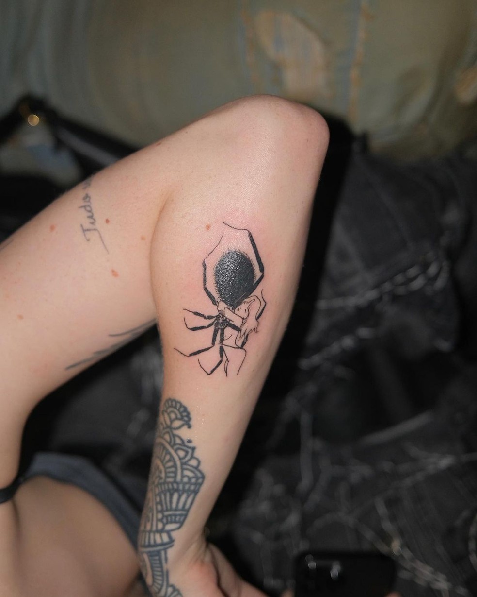 Significado de Tatuagem de Aranha  Tatuagem de aranha, Tatuagem, X tatuagem