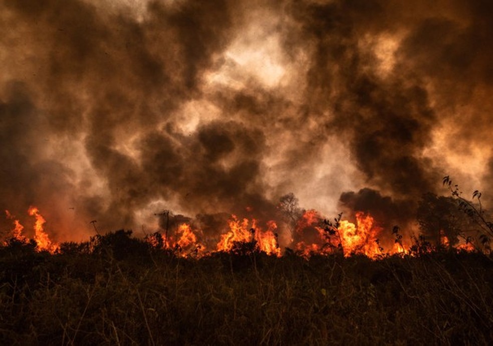 Pantanal em chamas: como ajudar? (Foto: NurPhoto via Getty Images) — Foto: Glamour