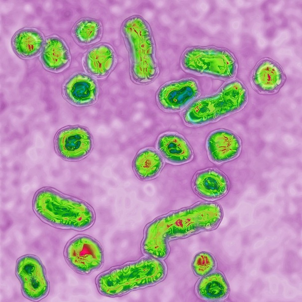 Vírus da Hepatite B (Foto: Getty Images) — Foto: Glamour