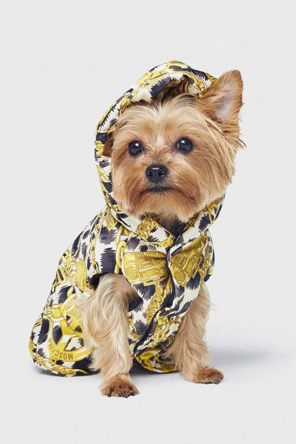 H&M + Moschino (Foto: Reprodução) — Foto: Glamour