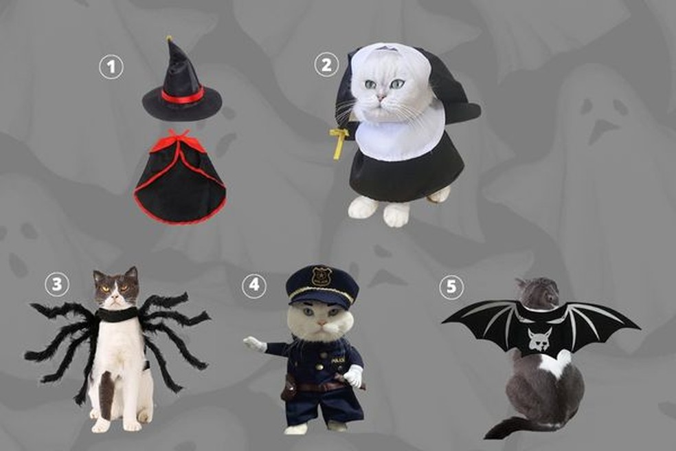 Halloween: 10 tutores e seus pets com fantasias combinando, Comportamento