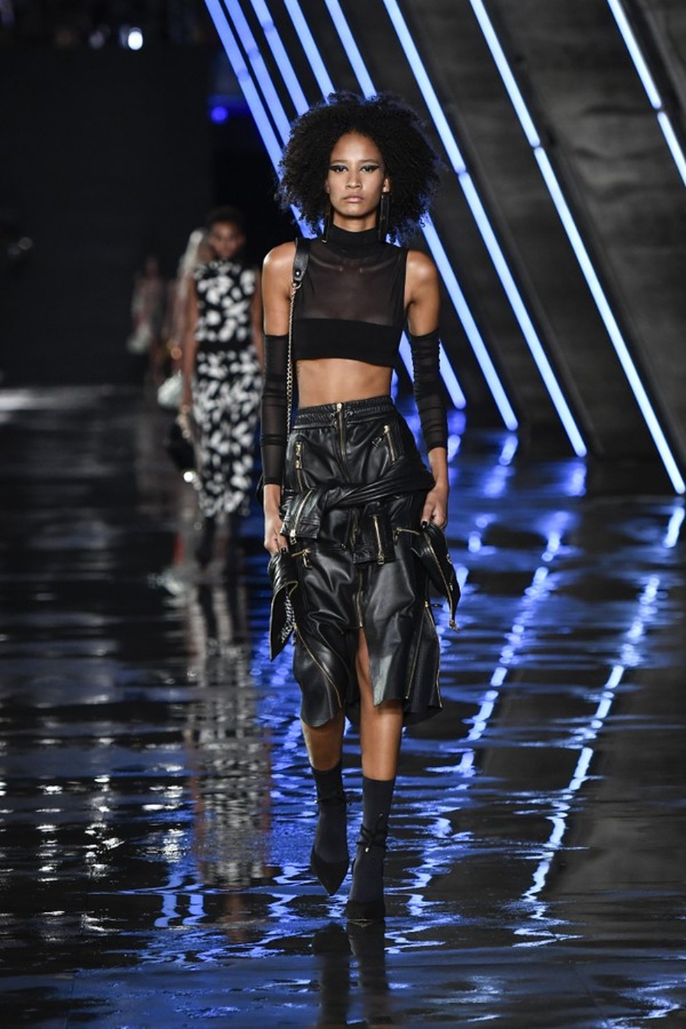 Animale coleção hot sale outono inverno 2019