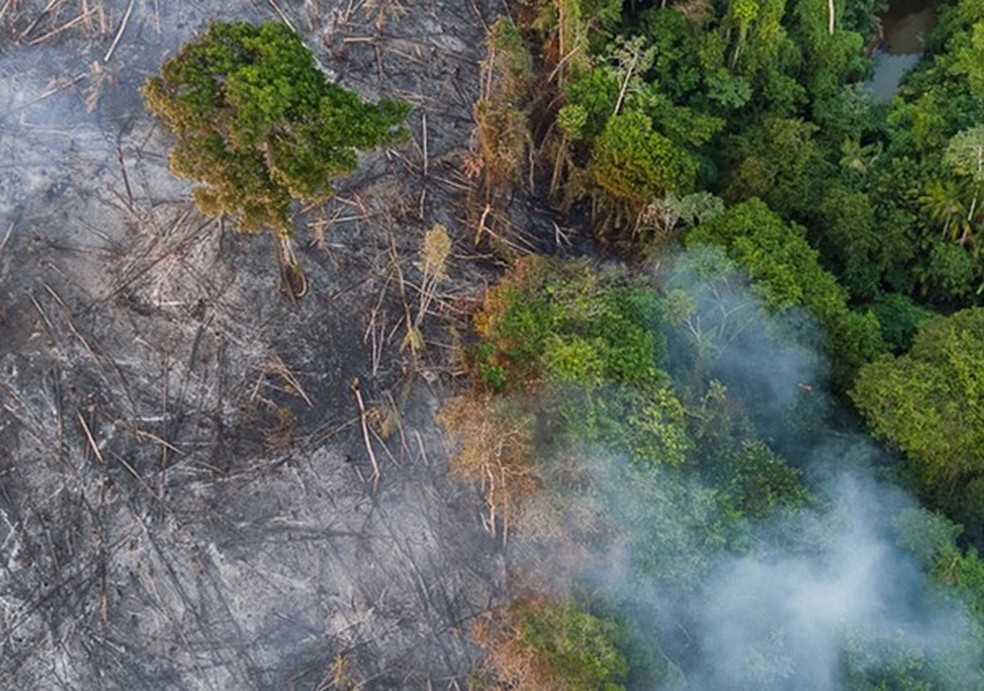 Desmatamento na região amazônica cresce em 51% no período da quarentena (Foto: Reprodução Instagram) — Foto: Glamour