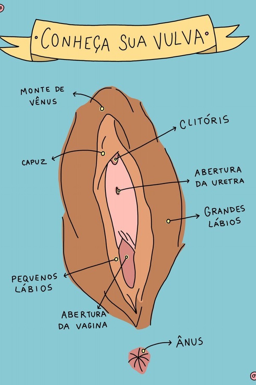 Anatomia da vulva (Foto: @vlkrr) — Foto: Glamour