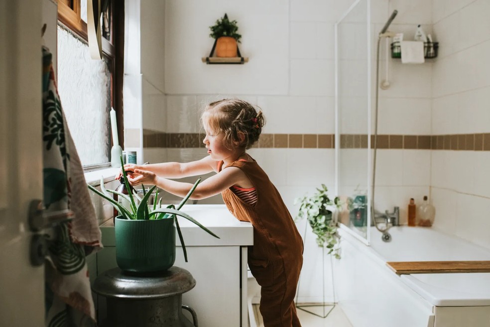 Aloe vera: o que é e por que você deveria usá-lo o ano todo (e não apenas no verão) — Foto: Getty