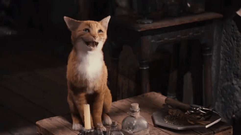 Conheça os gatos mais famosos das animações