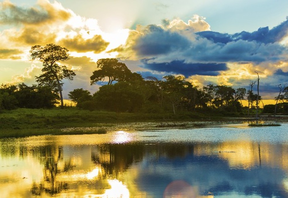 Amazônia (Foto: Thinkstock) — Foto: Glamour