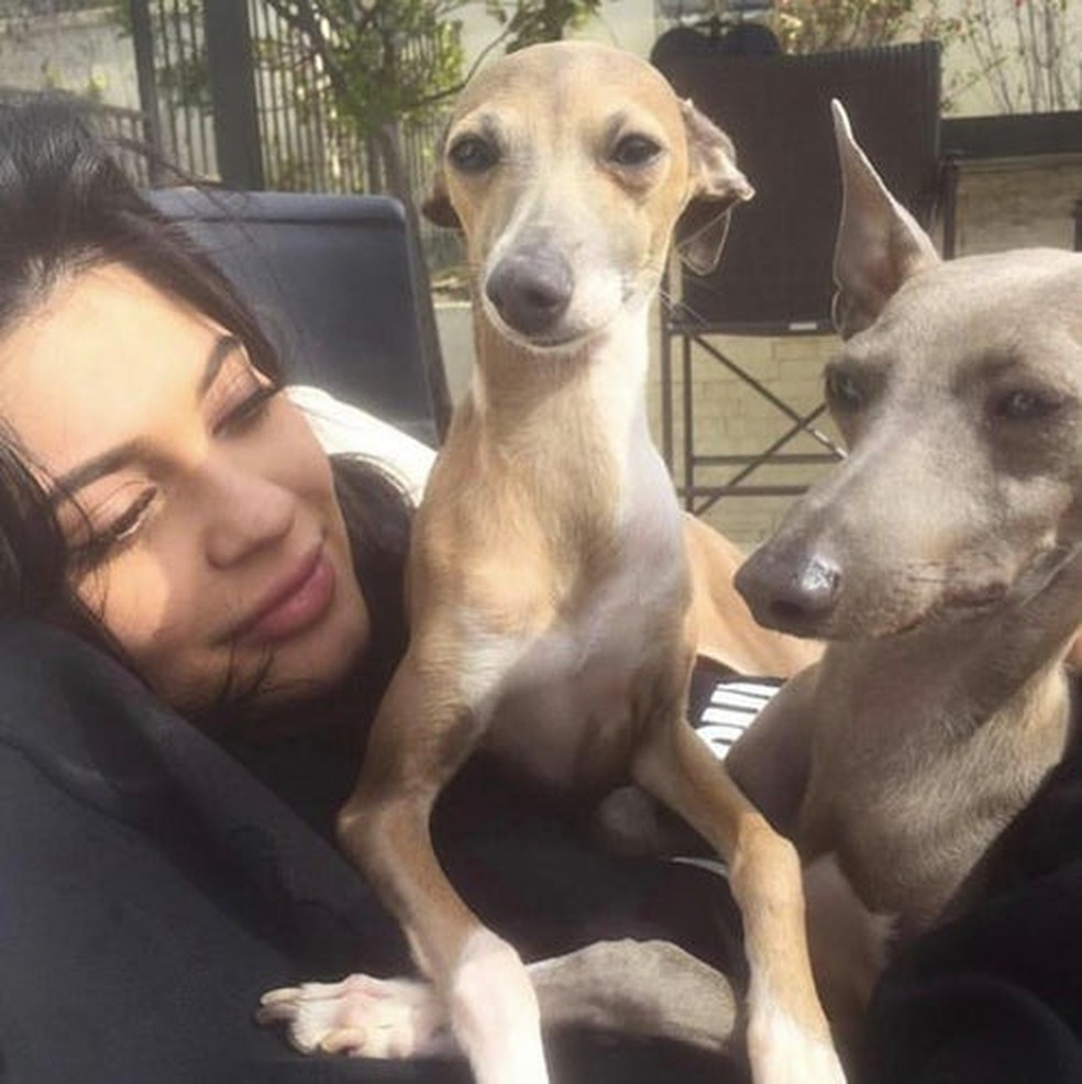 Kylie Jenner com Norman e Bambi (Foto: Instagram/Reprodução) — Foto: Glamour