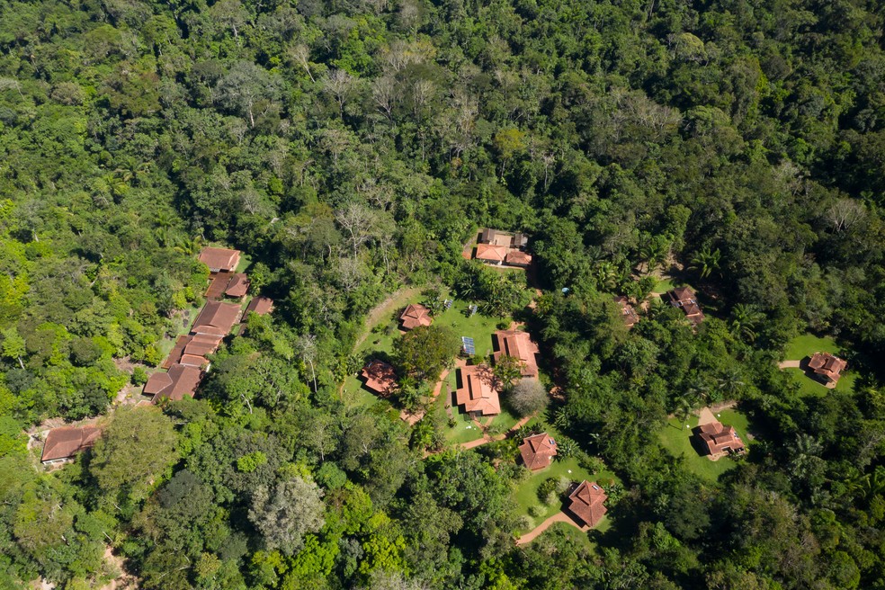 O Cristalino Lodge fica em meio à Floresta Amazônica — Foto: Divulgação