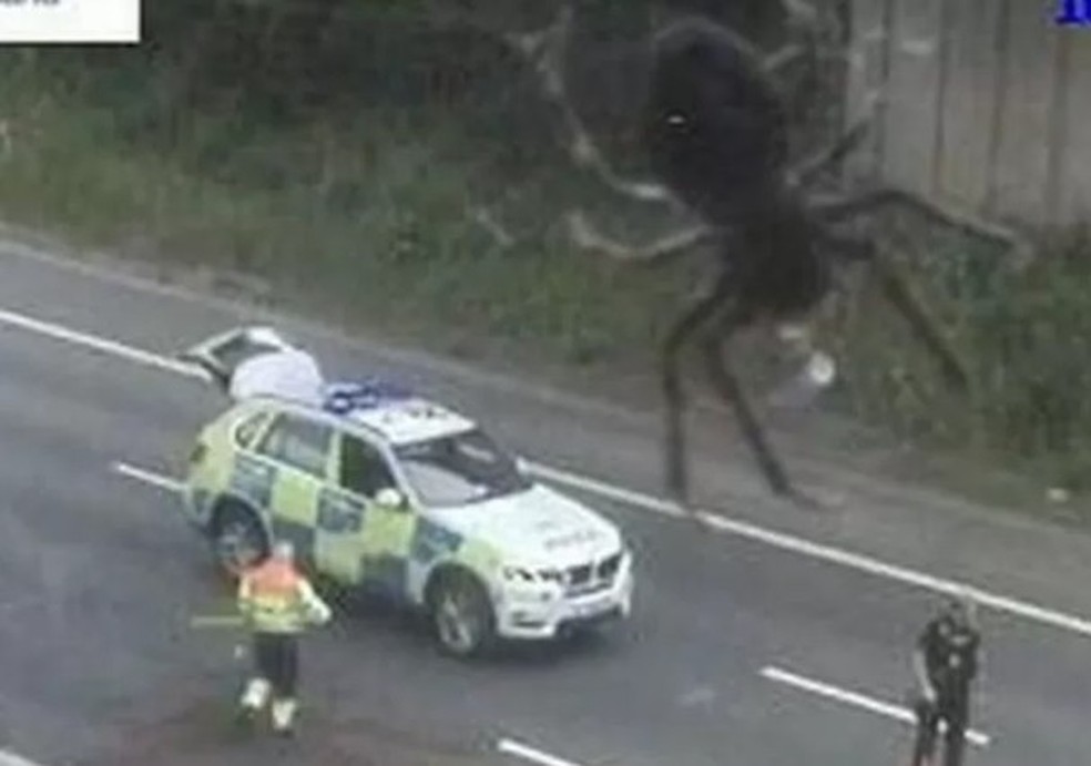 Cãmera de segurança flagra aranha gigante em rodovia (Foto: Reprodução Instagram) — Foto: Glamour