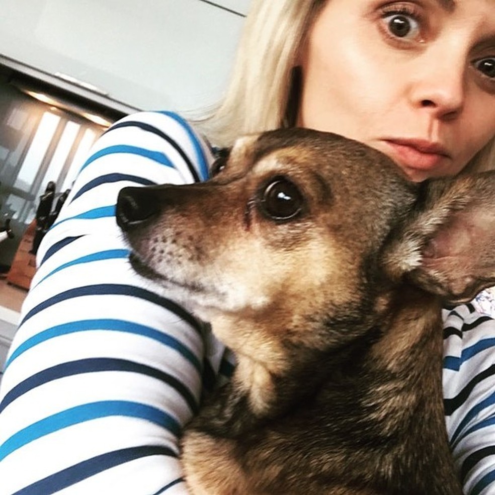 Christina Ricci e seu cachorrinho (Foto: Instagram/Reprodução) — Foto: Glamour