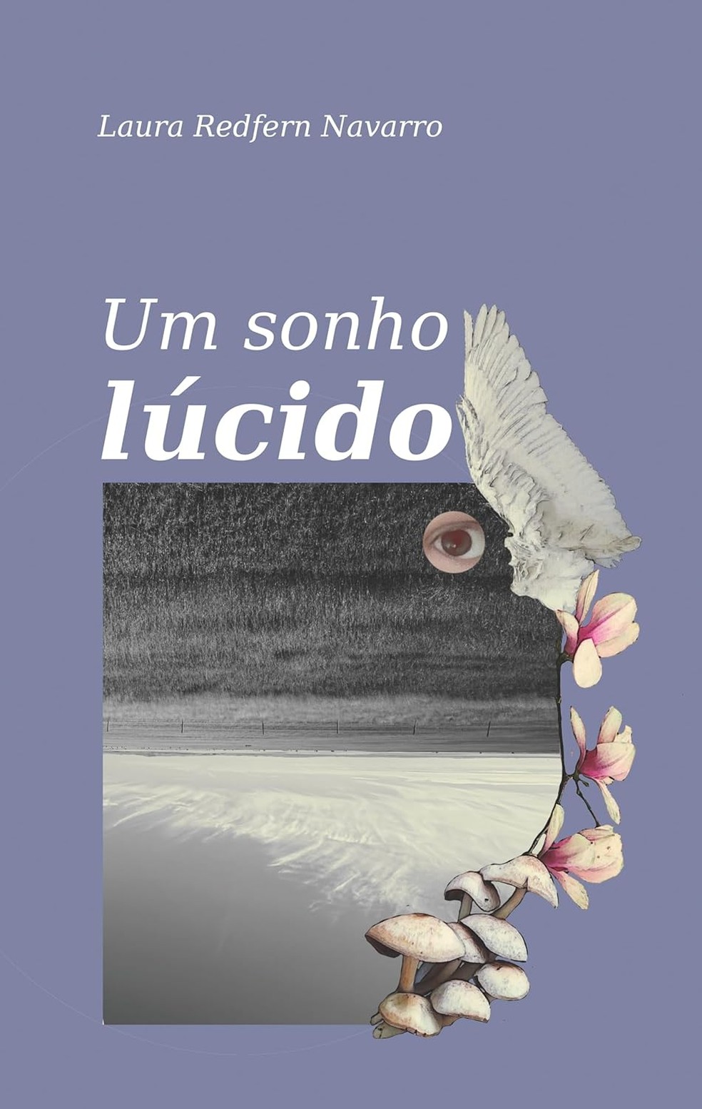 Um Sonho Lúcido, de Laura Redfern Navarro — Foto: Divulgação