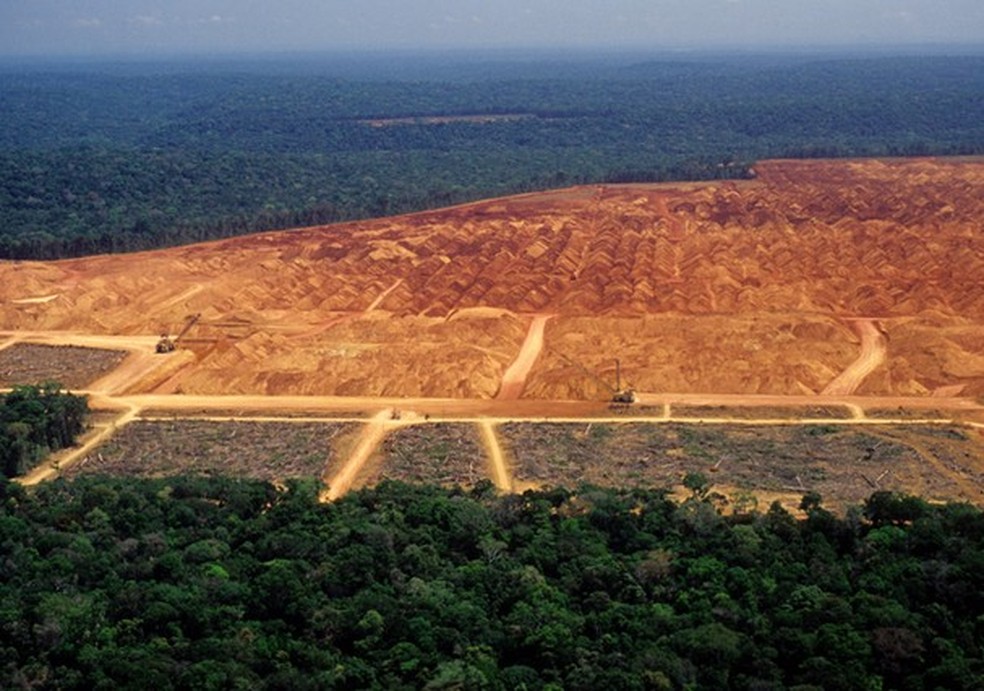 Desmatamento da Amazônia (Foto: Getty Images) — Foto: Glamour