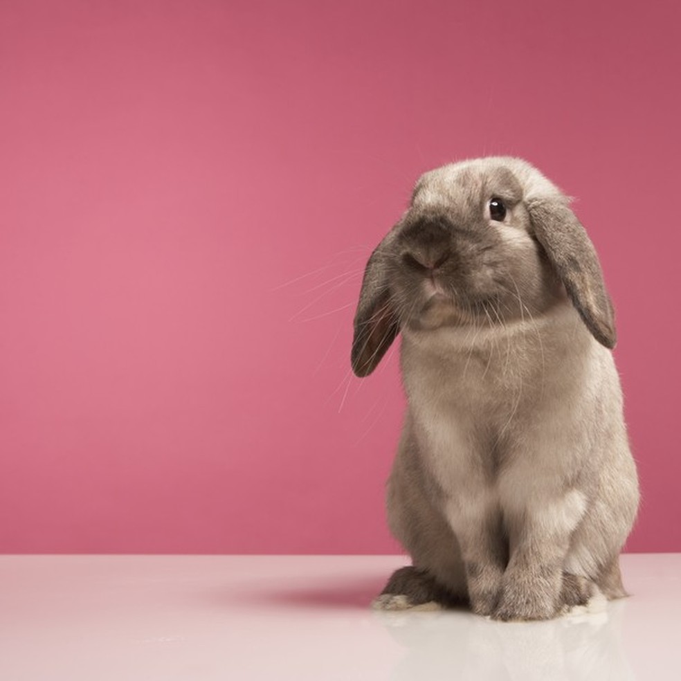 Avon anuncia fim de testes em animais dentro de sua cadeia global (Foto: Getty Images) — Foto: Glamour