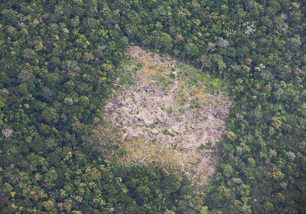 O que há por trás das queimadas e do desmatamento da Amazônia – e como ajudar (Foto: Getty Images) — Foto: Glamour