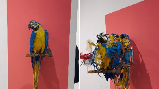 Artista viraliza ao transformar lixo em esculturas que desafiam o olhar; veja