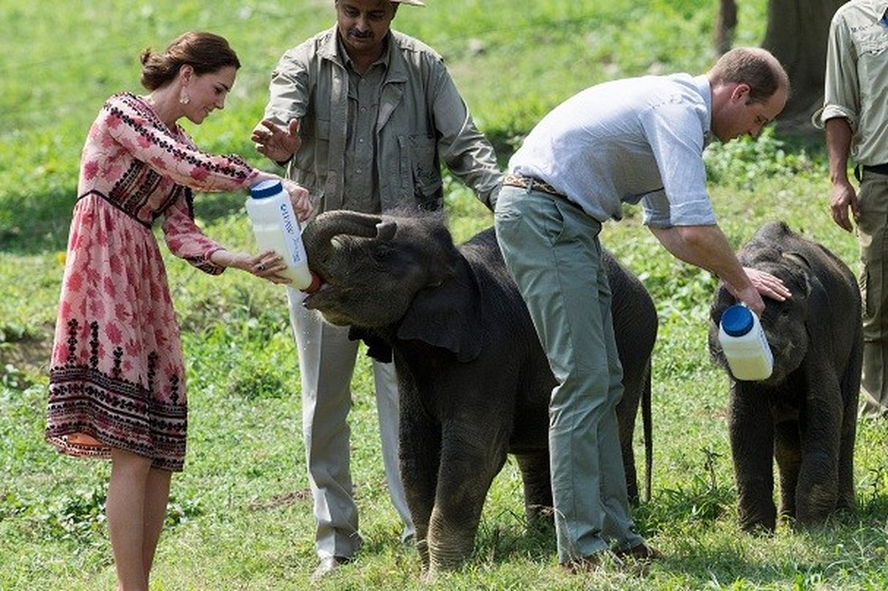 Kate e príncipe William alimentam elefantinhos (Foto: Getty Images) — Foto: Glamour