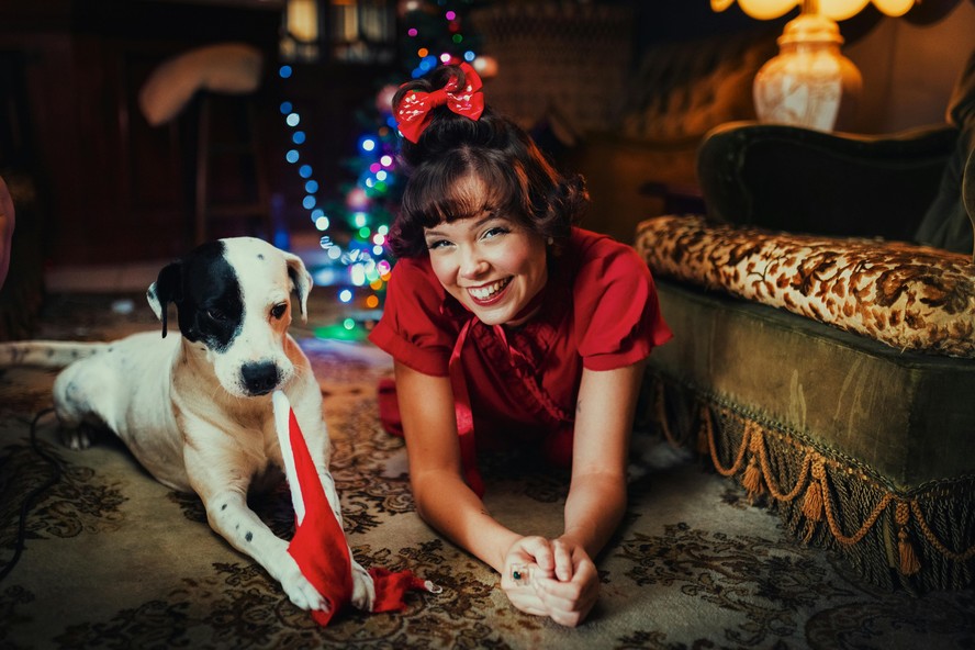 Como acalmar os pets nas festas de fim de ano?