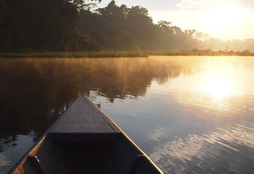 Amazônia (Foto: Thinkstock) — Foto: Glamour