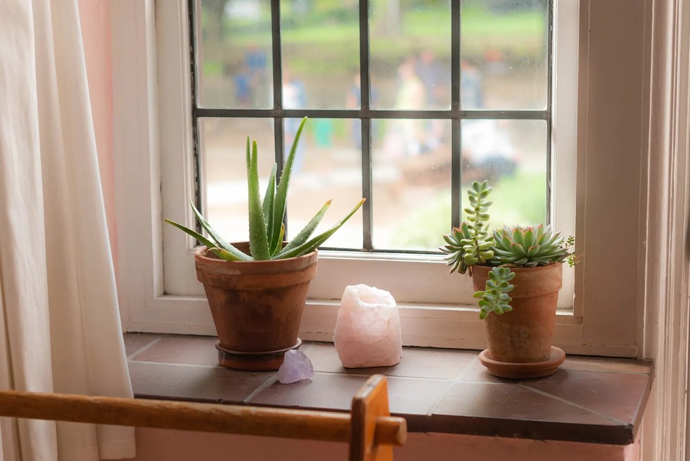 Aloe vera: o que é e por que você deveria usá-lo o ano todo (e não apenas no verão) — Foto: Getty