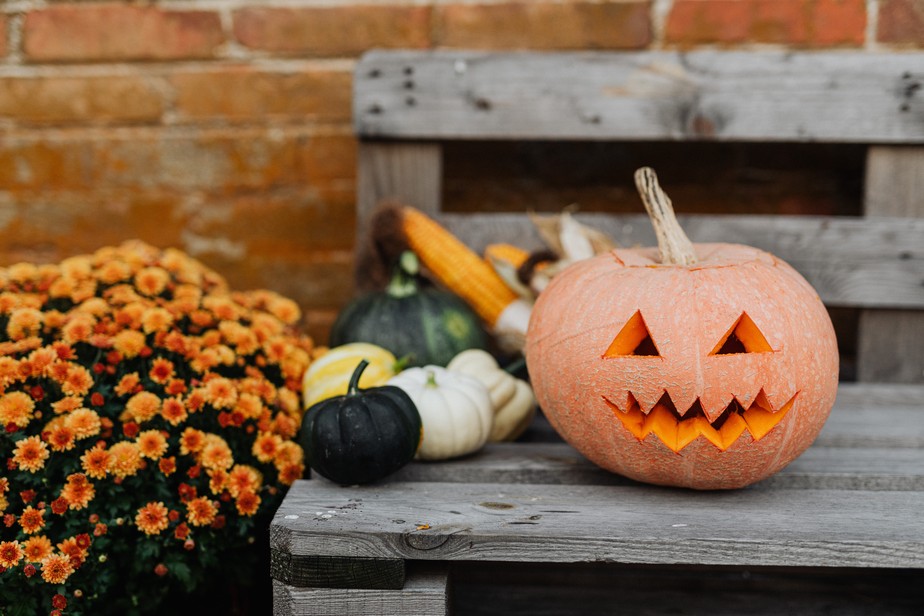 Halloween em casa: confira dicas de filmes e séries para curtir no Dia das  Bruxas