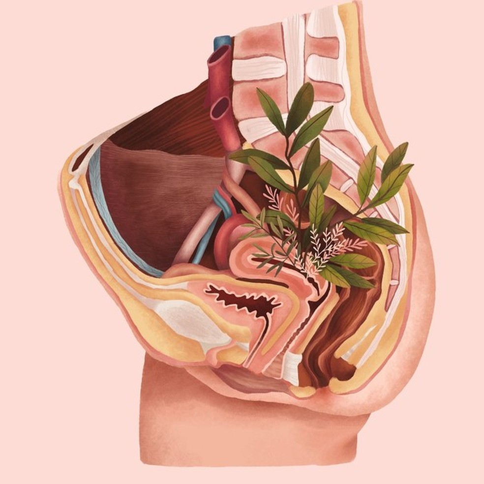 Congelamento de óvulos: "Mesmo a mulher que usa anticoncepcional, apesar de não ovular, perde folículos todo mês", diz Rodrigo da Rosa Filho, médico ginecologista (Foto: Ilustração: Priscila Barbosa) — Foto: Glamour