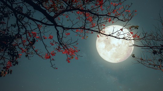 Lua Cheia de Wesak: descubra como a energia de 1º de maio pode transformar sua vida Lua Cheia de Wesak: descubra como a energia de 1º de maio pode transformar sua vida