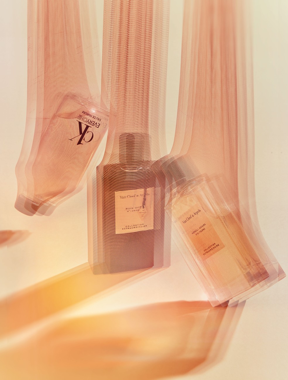 Perfumes 2022 — Foto: Deborah Maxx
