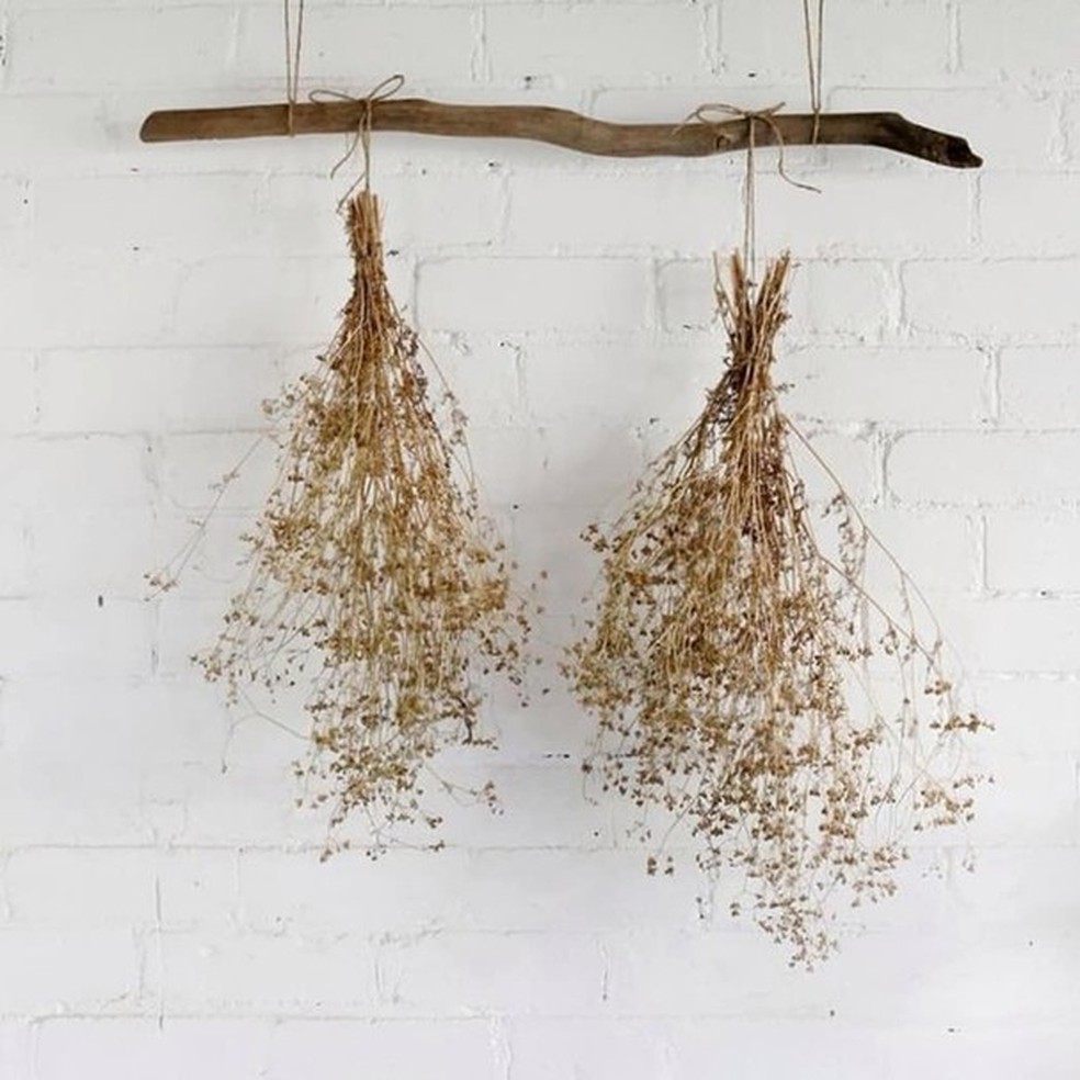 Flores e plantas secas celebram o Outono (Foto: Reprodução / Instagram) — Foto: Glamour