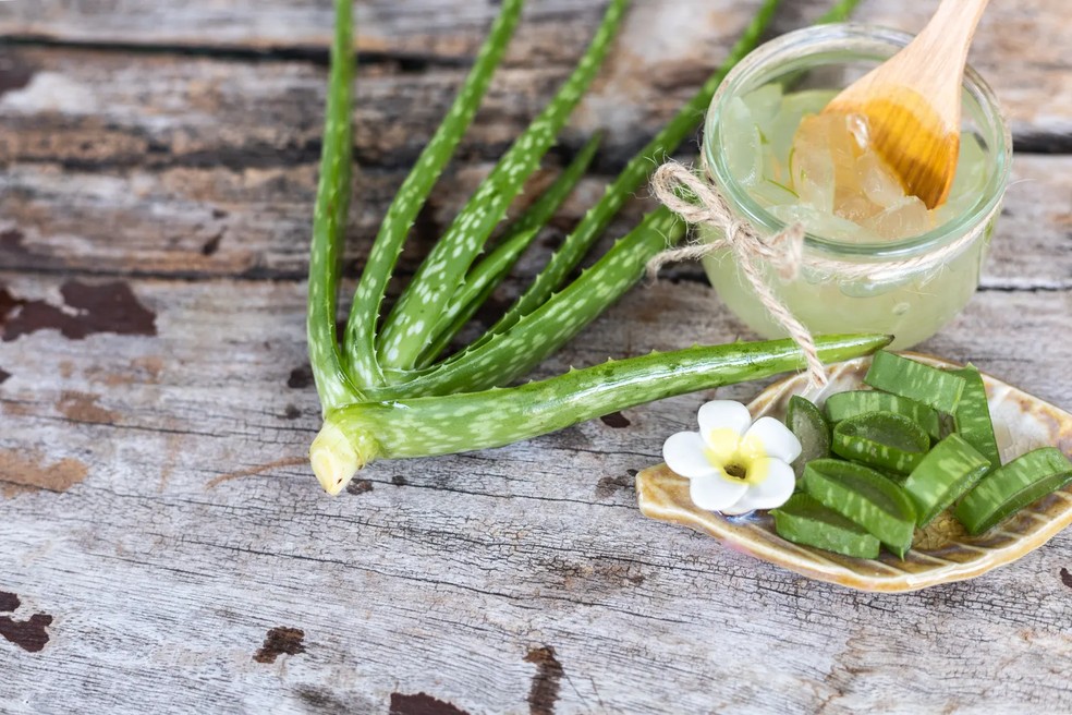 Aloe vera: o que é e por que você deveria usá-lo o ano todo (e não apenas no verão) — Foto: Getty