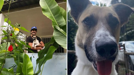 Nicolas Prattes emociona com homenagem especial a cachorros: "Salvou minha vida"