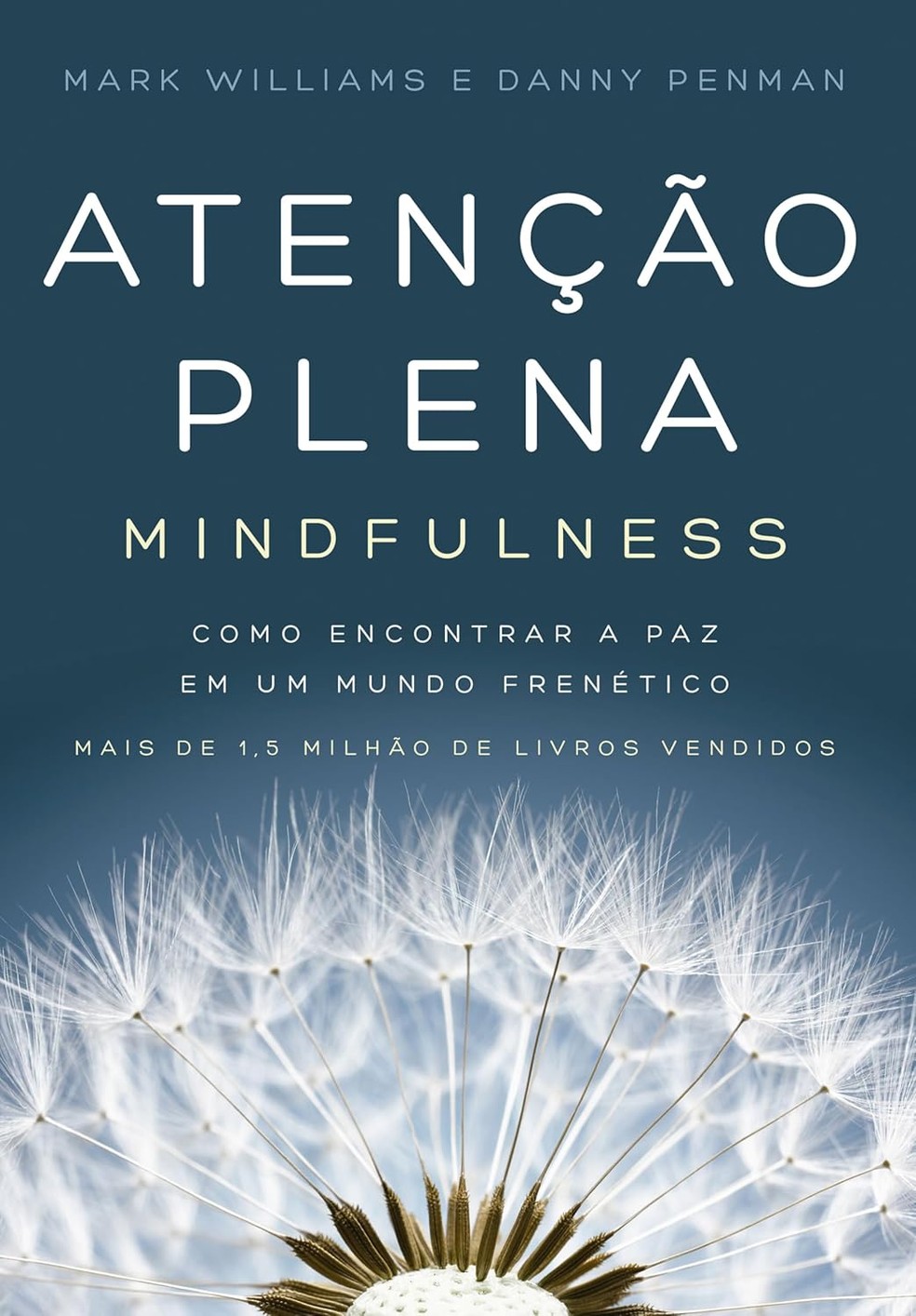 Atenção plena – mindfulness: como encontrar a paz em um mundo frenético — Foto: Divulgação