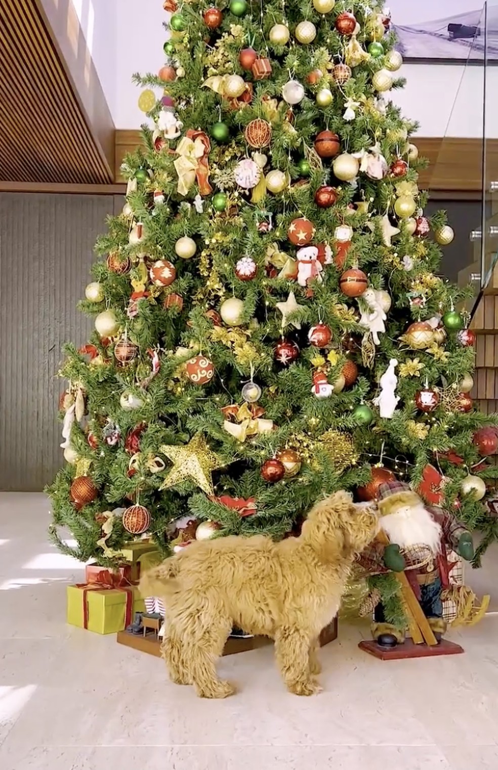 A árvore de Natal de Angélica e família — Foto: Instagram