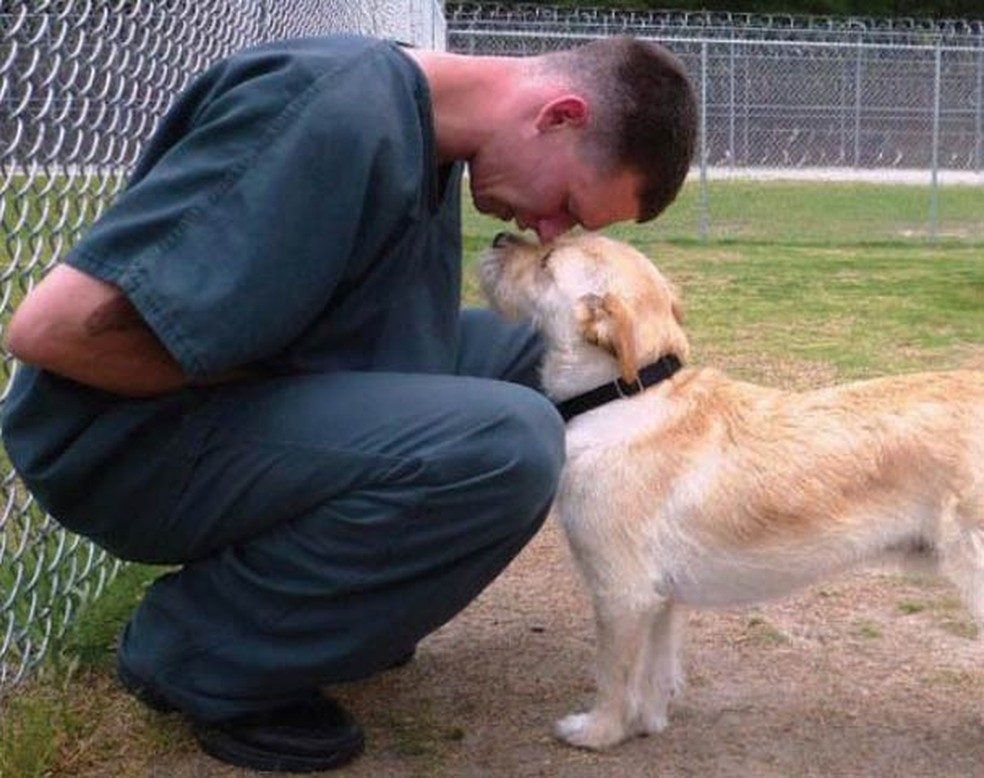 Momento de carinho de um detento com um dos cães do projeto (Foto: Divulgação) — Foto: Glamour