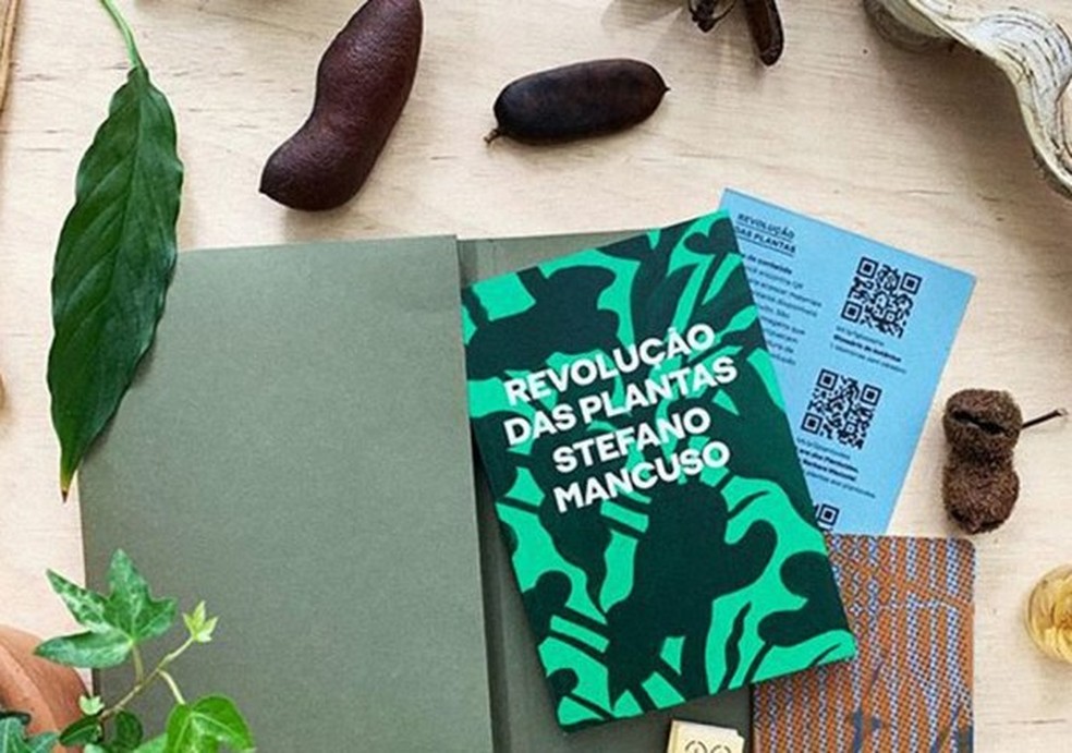 8 clubes de assinatura de livros para ficar de olho (Foto: Divulgação) — Foto: Glamour