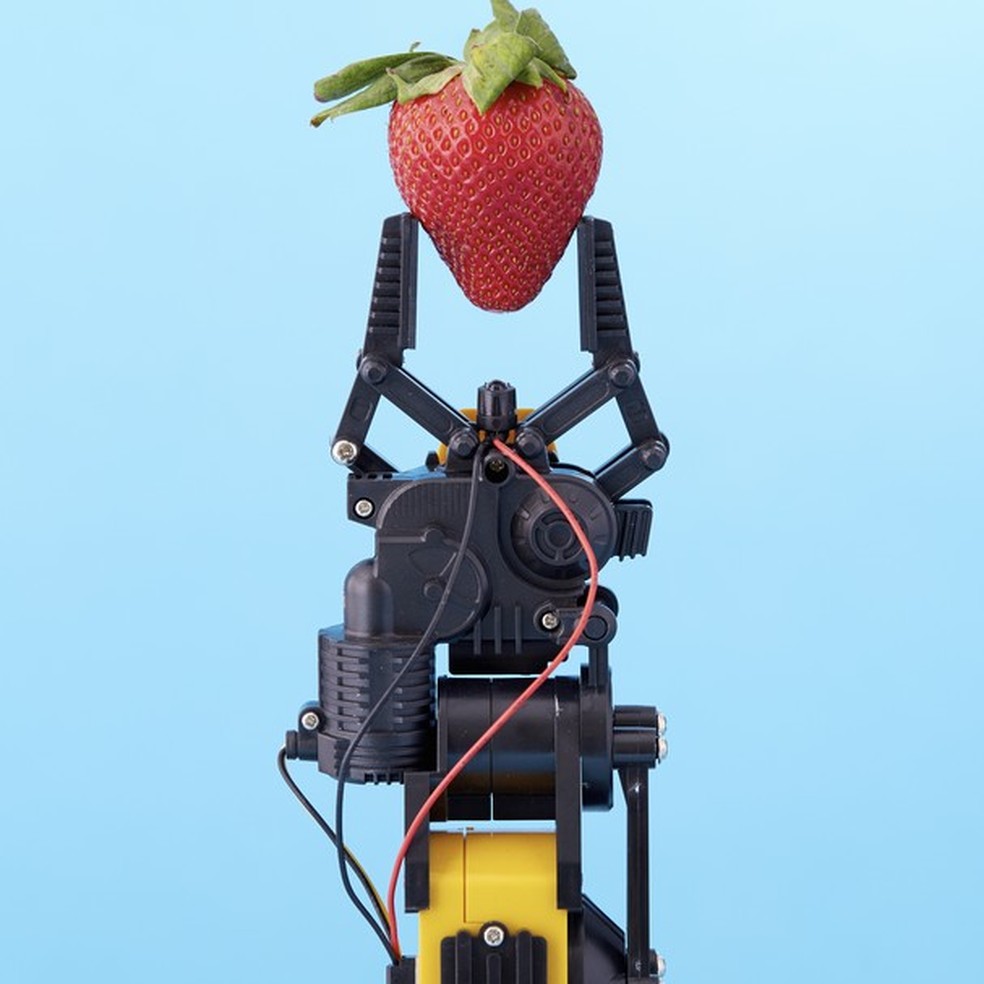 O aumento do consumo de frutas está entre as tendências (Foto: Getty Images) — Foto: Glamour