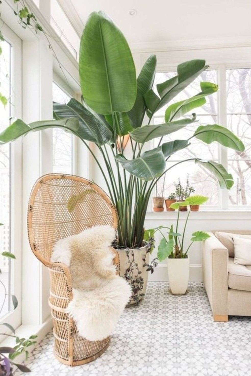 Décor com plantas (Foto: Instagram/Reprodução) — Foto: Glamour