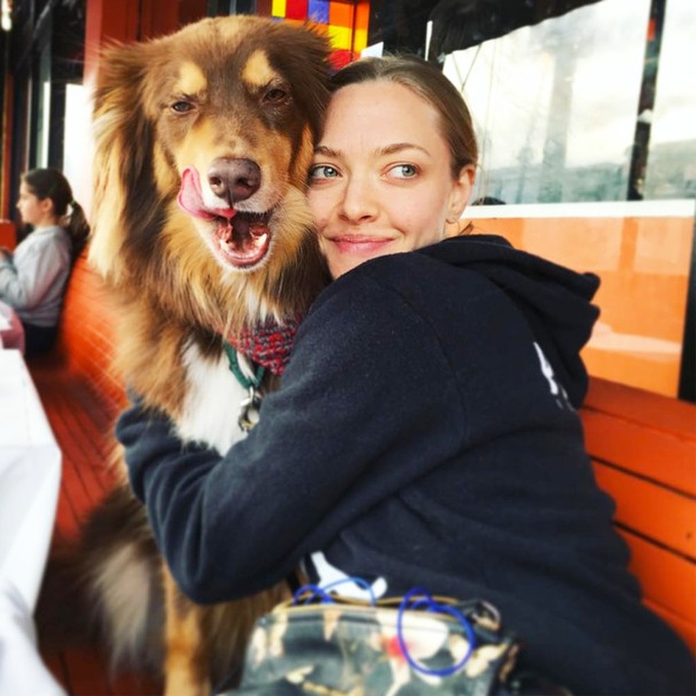 Amanda Seyfried e o cachorro Finn (Foto: Instagram/Reprodução) — Foto: Glamour